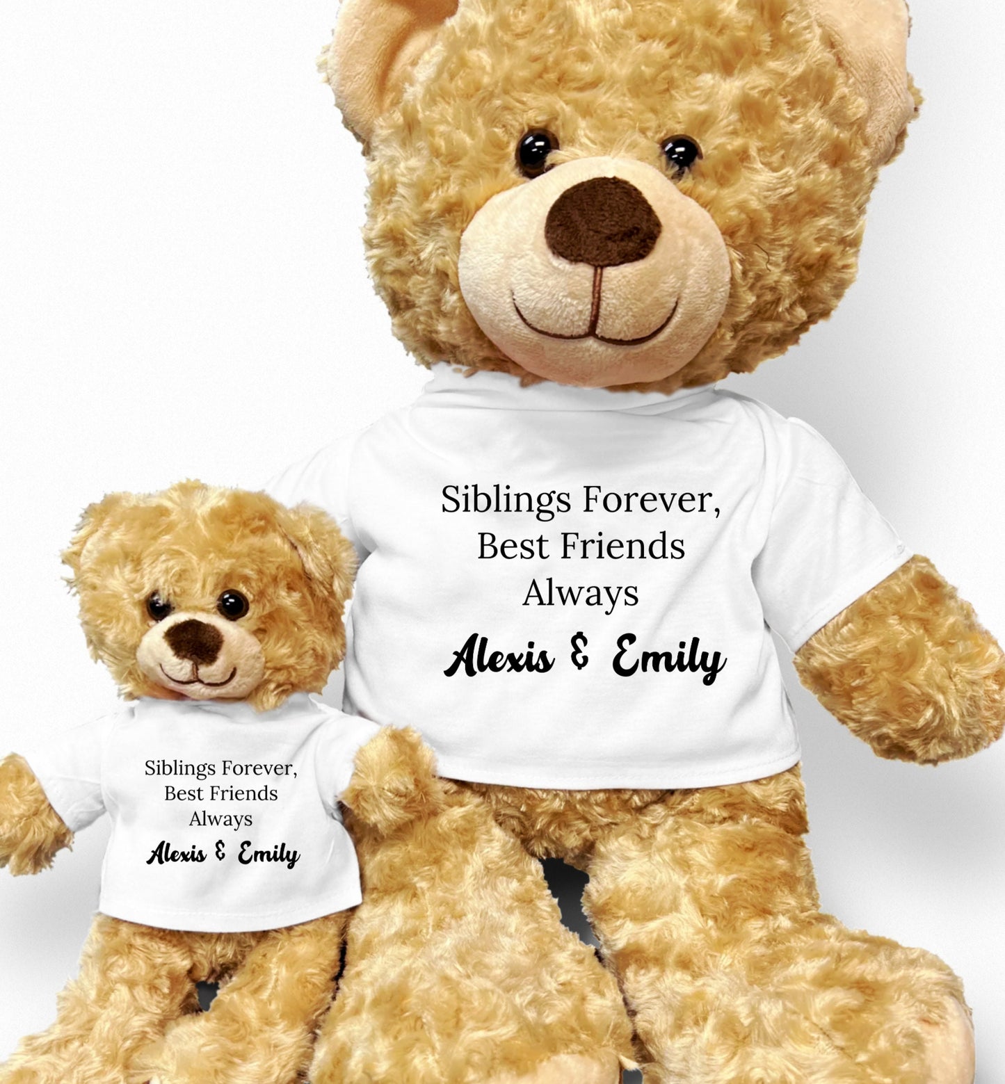 Personalized Sibling Teddy Bear - Custom Name for a Unique Gift, Plush Brother Teddy Bear, Birthday Girl, Sister Teddy Bear