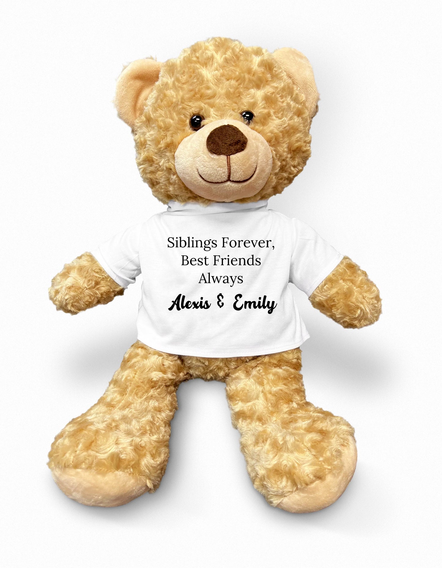 Personalized Sibling Teddy Bear - Custom Name for a Unique Gift, Plush Brother Teddy Bear, Birthday Girl, Sister Teddy Bear